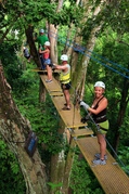 Canopy Adventure Park