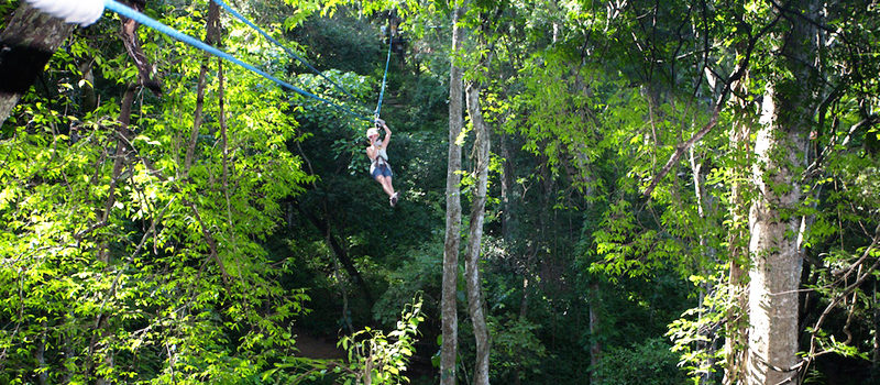 canopy tour vallarta